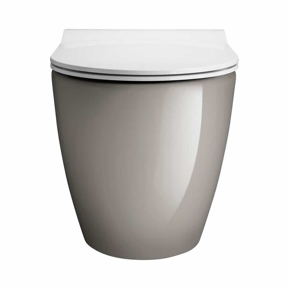 Svelte Platinum Back to Wall Toilet & Soft Close Seat